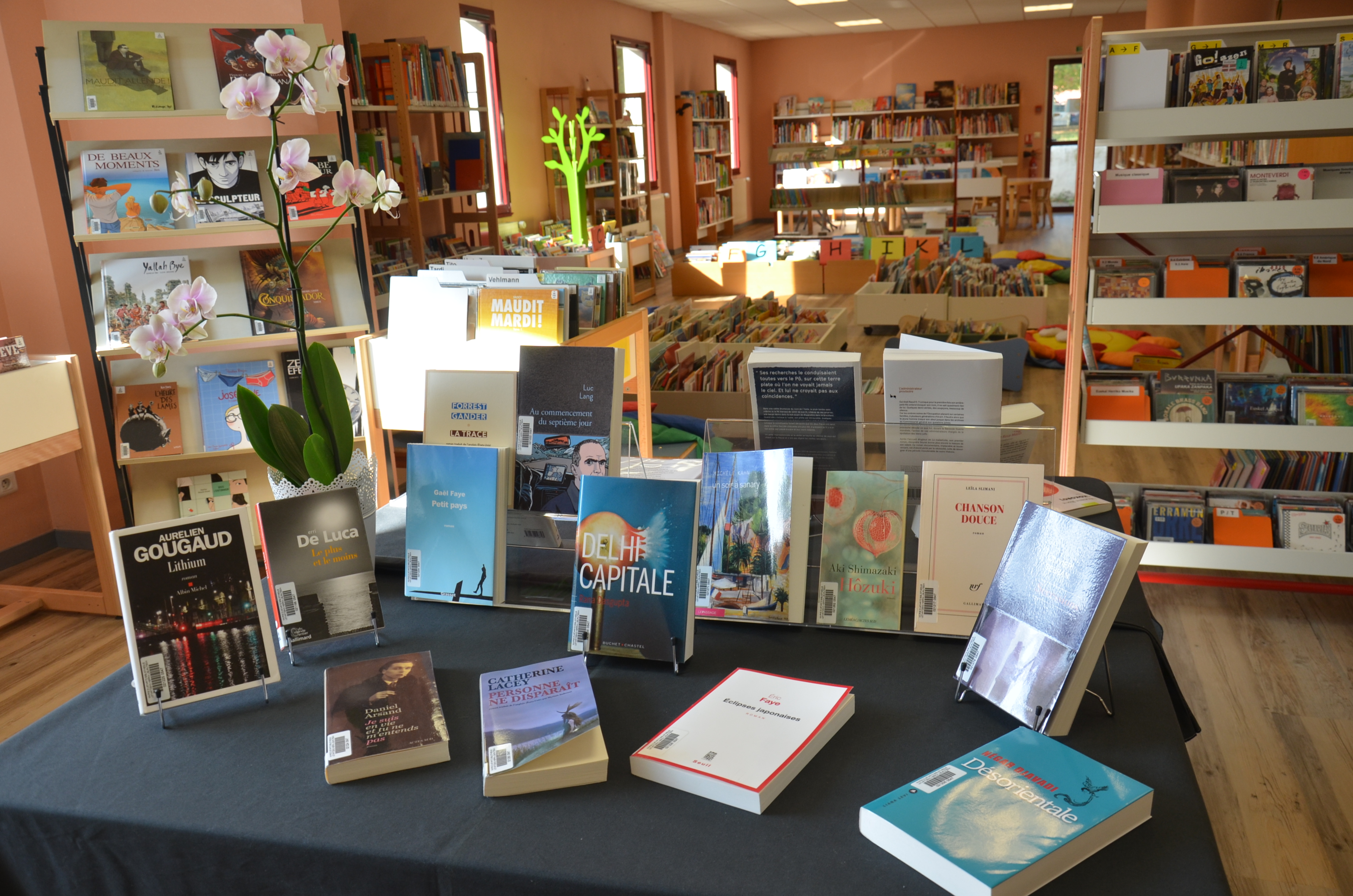 Accueil bibliotheque
