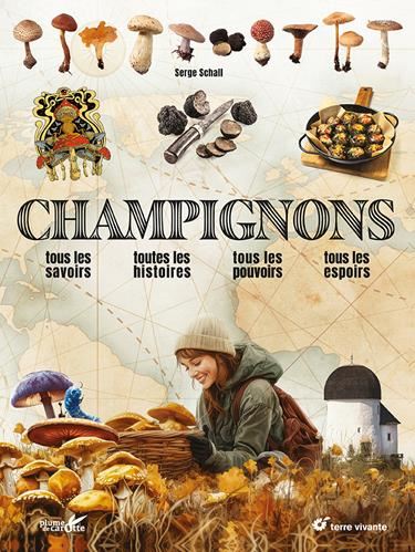 Champignons